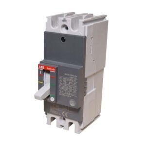 Interruptor termomagnético fijo 2x50A 50/25kA 240/440V UE6