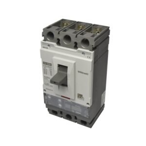 Interruptor termomagnético regulable 3x160-400A(690V) 100/65kA 220/440V