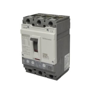 Interruptor termomagnético regulable 3x100-250A(690V) 100/50kA 220/440V